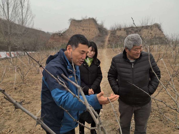 新年新征程，整装蓄势再出发——西安市临潼区林业局林业工作站迅速开启新一年工作
