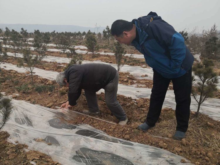 新年新征程，整装蓄势再出发——西安市临潼区林业局林业工作站迅速开启新一年工作