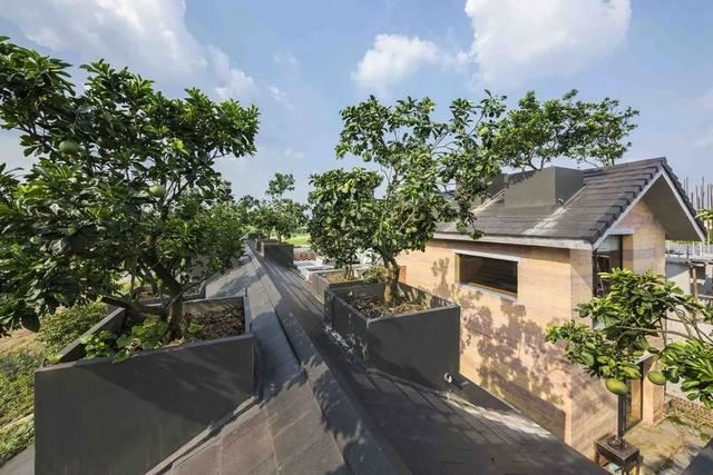 这个被低估的设计国度，竟藏了这么多脑洞大开的绿色住宅