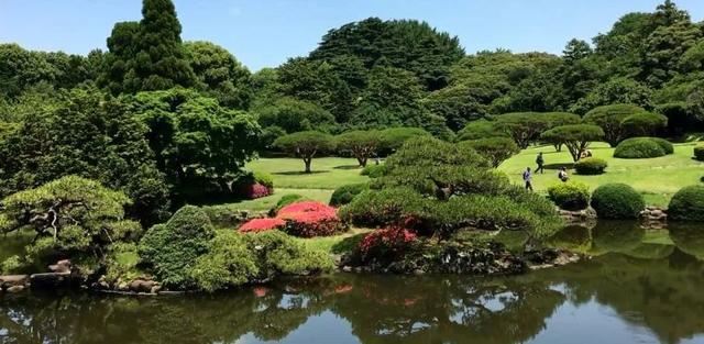 图文解析 | 景观植物设计方法