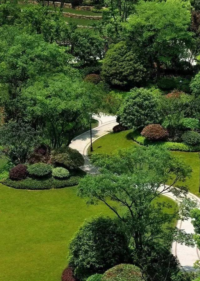 图文解析 | 景观植物设计方法