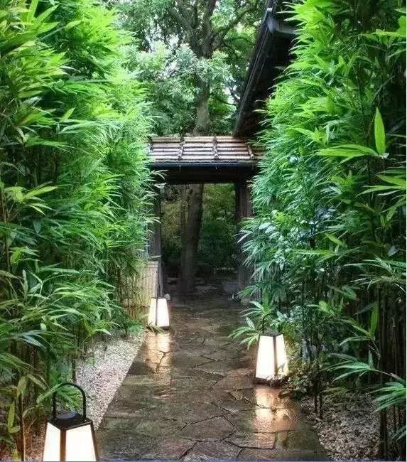 图文解析 | 景观植物设计方法
