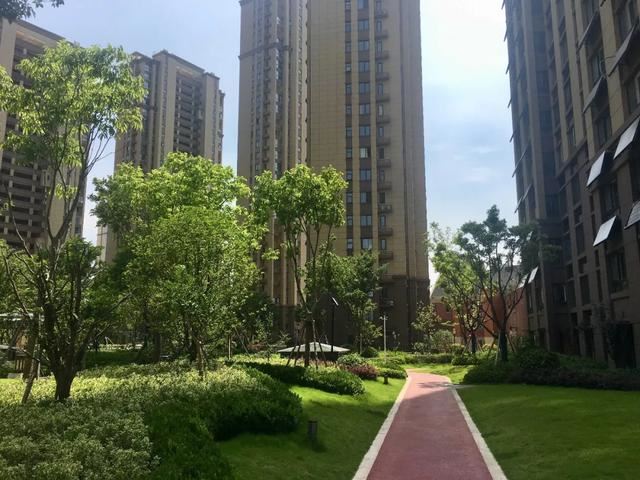 2019园冶杯专业奖丨合肥城建琥珀庄园景观绿化工程