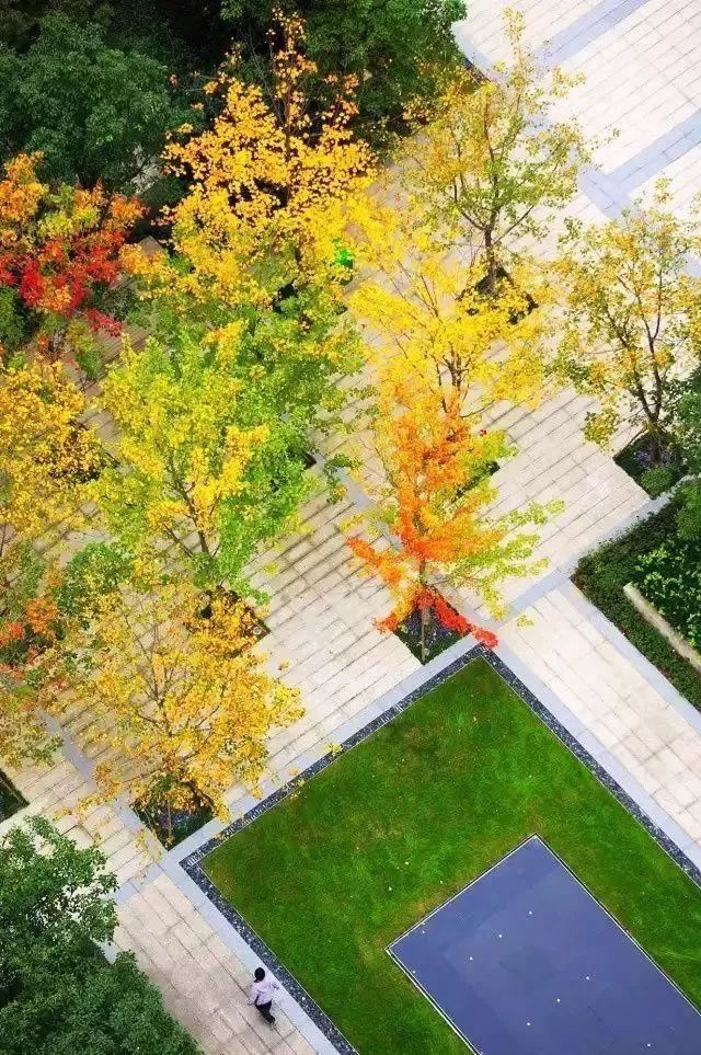 图文解析 | 景观植物设计方法