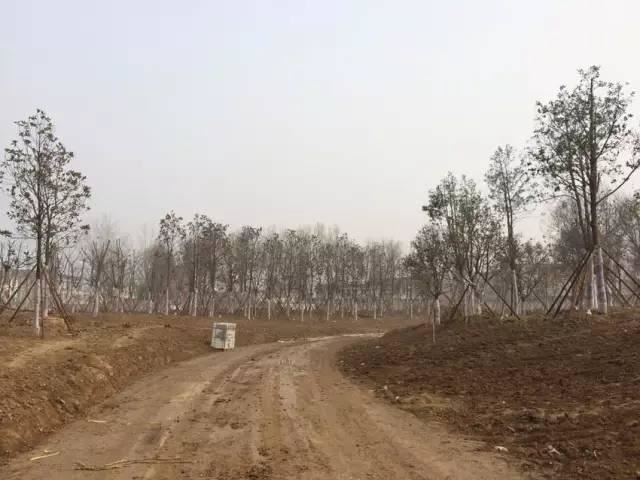 这才是园林景观施工总过程，你要清楚