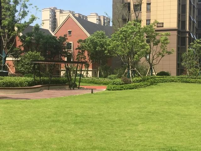 2019园冶杯专业奖丨合肥城建琥珀庄园景观绿化工程