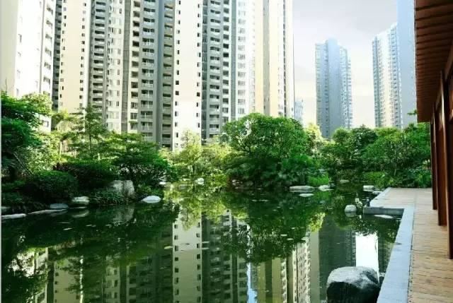这才是园林景观施工总过程，你要清楚