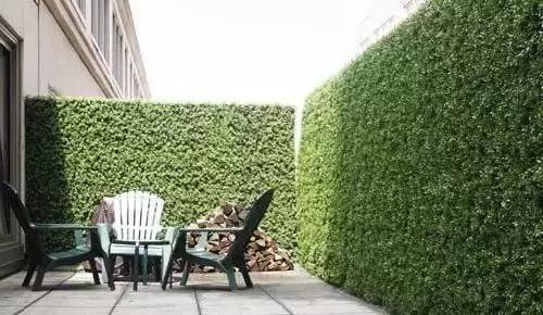 图文解析 | 景观植物设计方法
