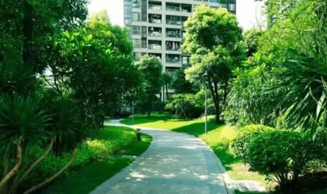 这才是园林景观施工总过程，你要清楚