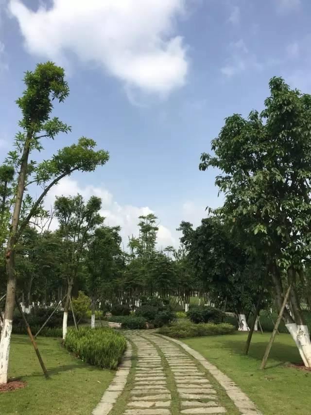 这才是园林景观施工总过程，你要清楚