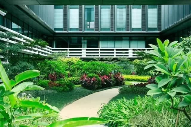 这才是园林景观施工总过程，你要清楚