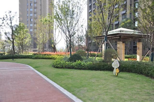 2019园冶杯专业奖丨合肥城建琥珀庄园景观绿化工程