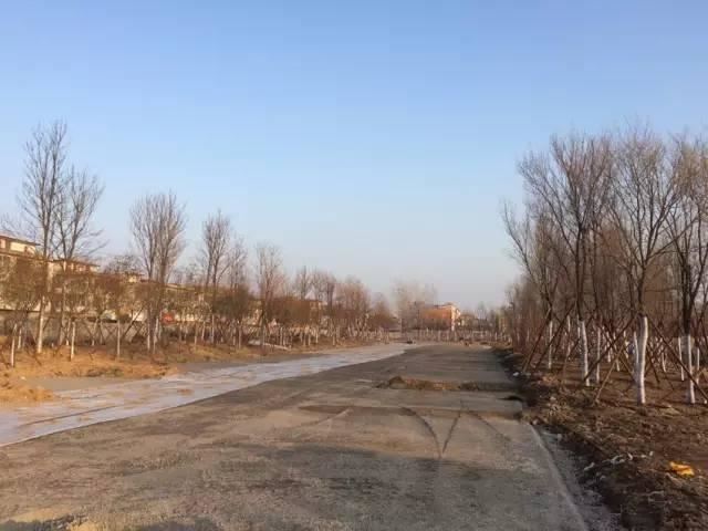 这才是园林景观施工总过程，你要清楚