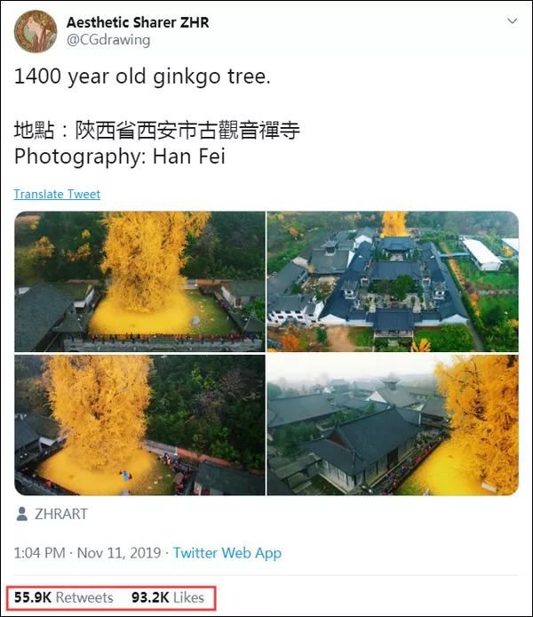 惊艳世界的西安千年银杏树，中外网友称赞其“美到震撼心灵”