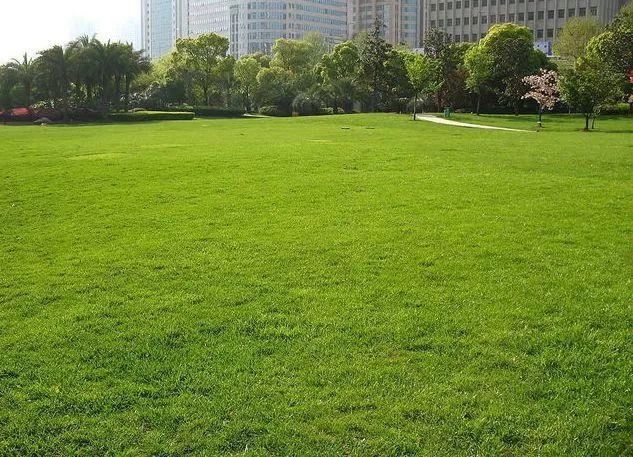 图文解析 | 景观植物设计方法