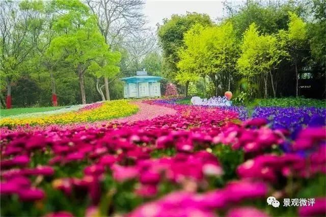 图文解析 | 景观植物设计方法