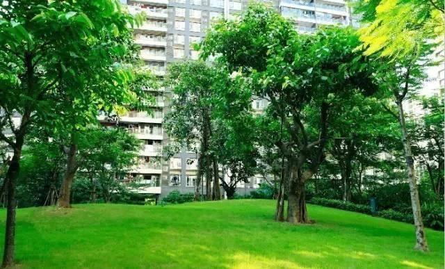 这才是园林景观施工总过程，你要清楚
