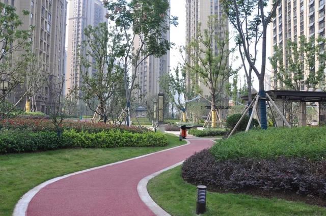 2019园冶杯专业奖丨合肥城建琥珀庄园景观绿化工程