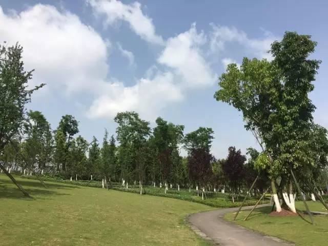 这才是园林景观施工总过程，你要清楚