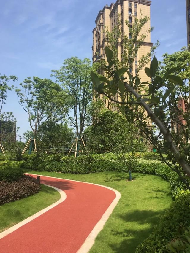 2019园冶杯专业奖丨合肥城建琥珀庄园景观绿化工程