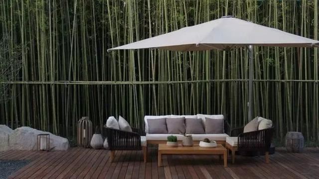 图文解析 | 景观植物设计方法