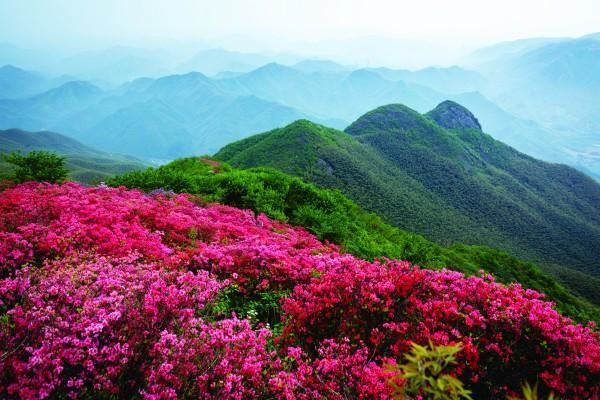 推进国土绿化 扮靓绿水青山 余杭区的“绿色家底”是这么攒起来的