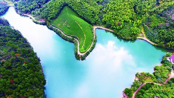 推进国土绿化 扮靓绿水青山 余杭区的“绿色家底”是这么攒起来的