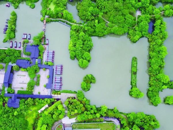 推进国土绿化 扮靓绿水青山 余杭区的“绿色家底”是这么攒起来的