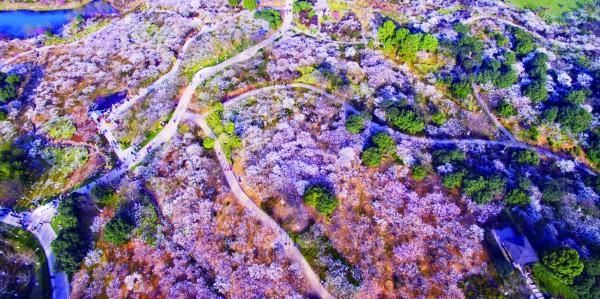 推进国土绿化 扮靓绿水青山 余杭区的“绿色家底”是这么攒起来的