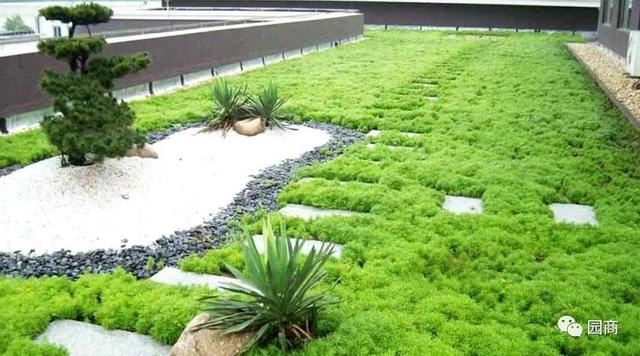 屋顶园林景观设计