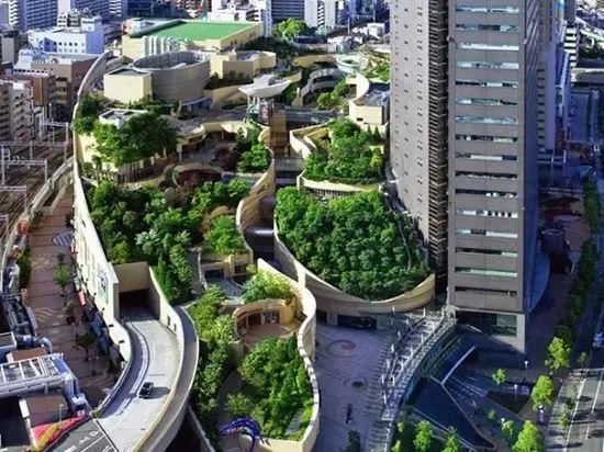 屋顶园林景观设计