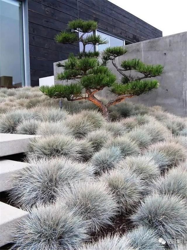 景观设计中硬景跟软景的结合问题