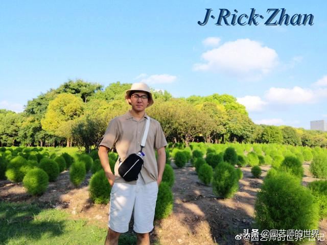 新晋网红草——浅谈红地肤种植应用经验