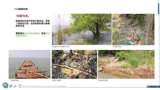 园林设计-这才是一个严谨而完整的景观设计文本！