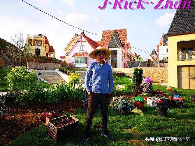 园艺技术分享系列——如何种植、养护好鸢尾