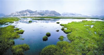 青海探索国家公园体制机制创新路径