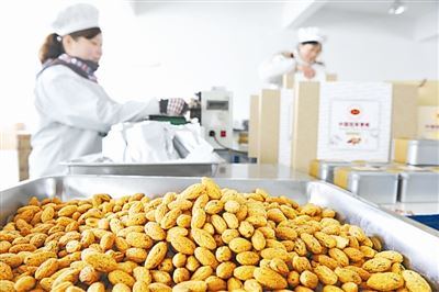 [树木传奇]香榧：传承千年的美食珍果
