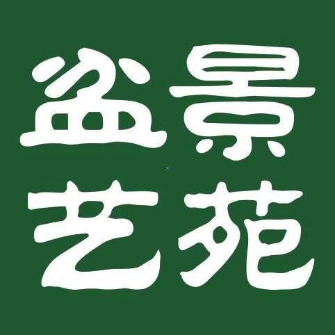 走进美国植物园盆景，欣赏百年精品之作