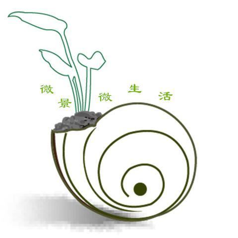 走进美国植物园盆景，欣赏百年精品之作