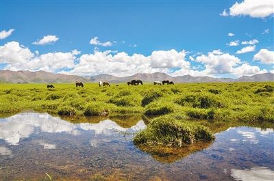 祁连山——中国湿岛