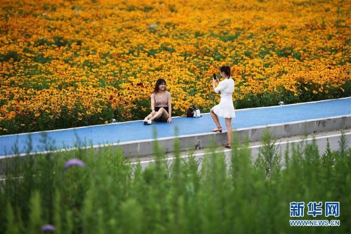 重庆：生态产业助推三峡库区高质量发展