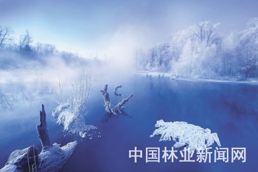 中国森林旅游美景推广计划2019年度成绩单