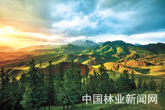 中国森林旅游美景推广计划2019年度成绩单