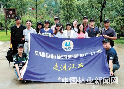 中国森林旅游美景推广计划2019年度成绩单