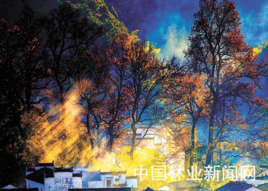 中国森林旅游美景推广计划2019年度成绩单