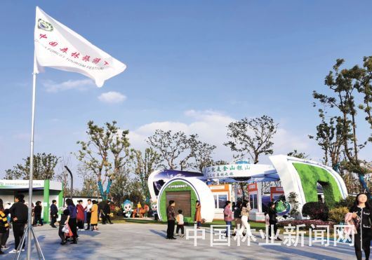 中国森林旅游美景推广计划2019年度成绩单