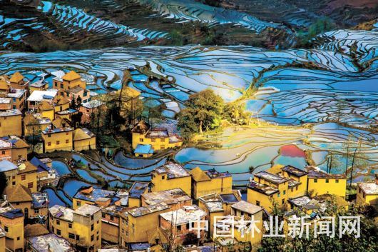 中国森林旅游美景推广计划2019年度成绩单