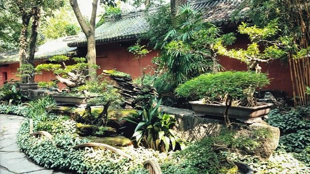 庭院绿化树种选择详解