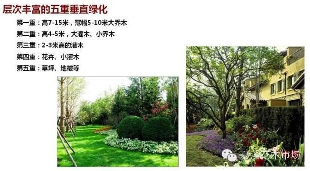 庭院绿化树种选择详解