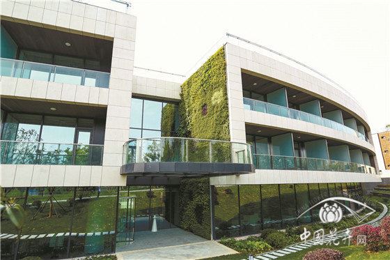 改良型种植毯植物墙项目施工实践